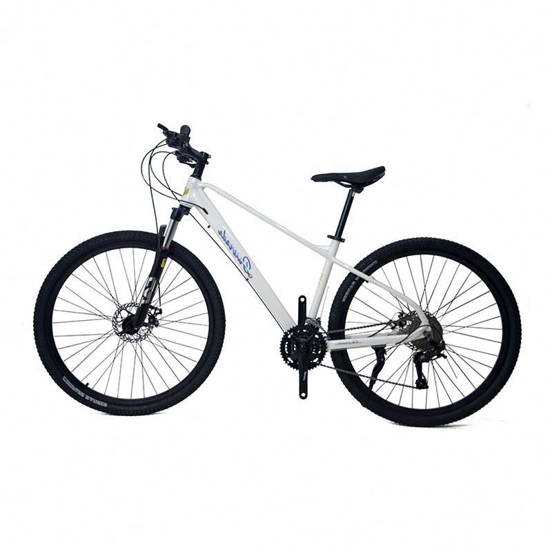29 inch Aluminum Alloy Mountai - Mountain Biking Usa ulasan dan harga