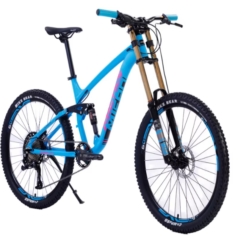 High Quality 24-Inch Dual Disc - Mountain Biking Usa ulasan dan harga